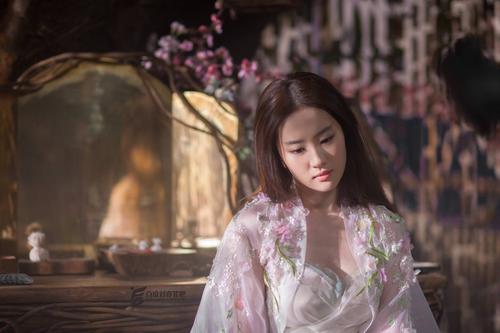 亲子鉴定书模板/图片